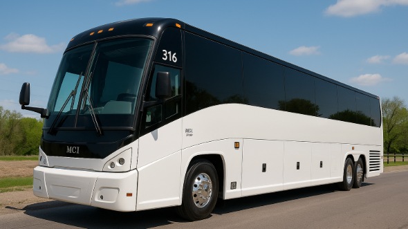 royal oak bachelor and bachelorette party bus rentals