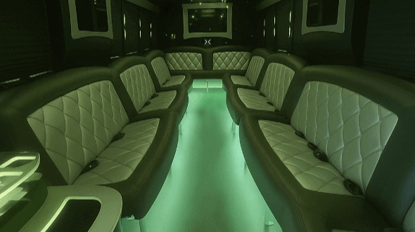 southfield 20 passenger party bus