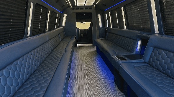 sterling heights 20 passenger party bus interior