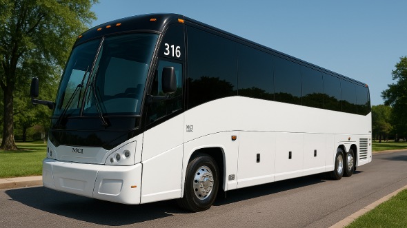 sterling heights birthday party bus rentals